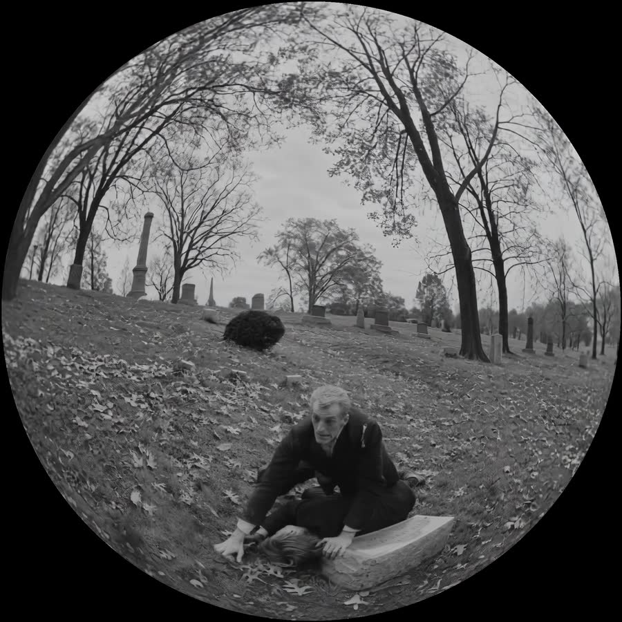 Night of the Living Dead (1968), an Academy 1.37 source remastered by Outpaint as a 180-degree fisheye dome